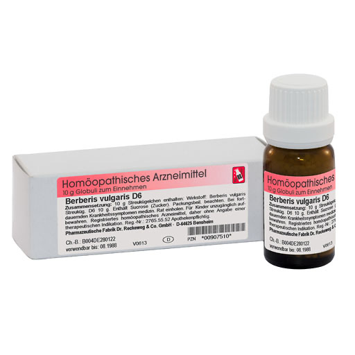 BERBERIS VULGARIS D 6 Globuli