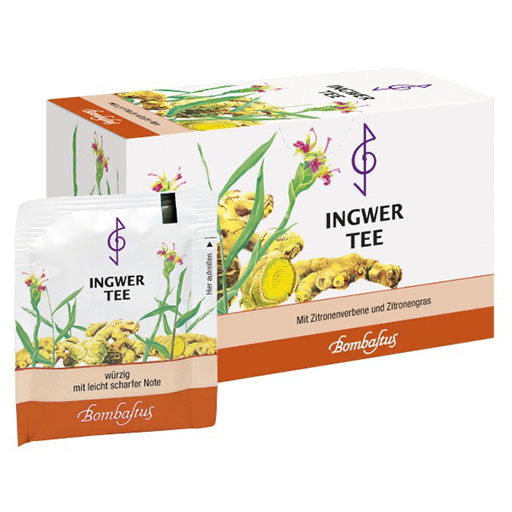 INGWER TEE Filterbeutel