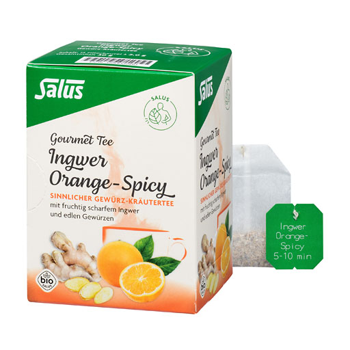 INGWER ORANGE Spicy Tee Salus Filterbeutel
