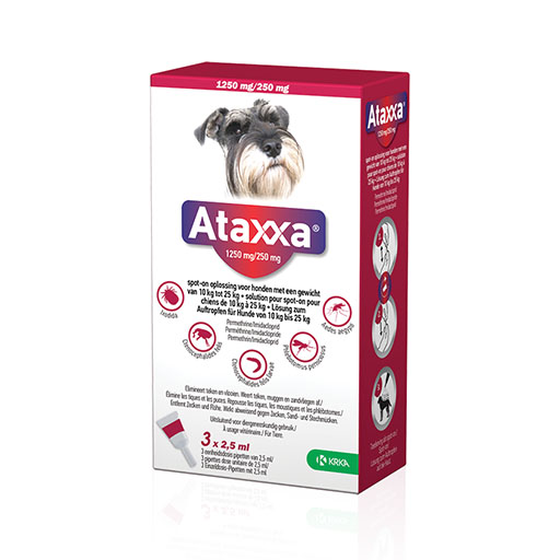 ATAXXA 1250mg/250mg Lsg.z.Auftro.f.Hunde 10-25kg